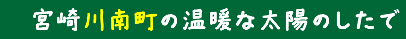 宮崎川南町の温暖な太陽のしたで