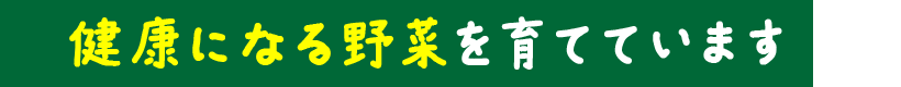 健康になる野菜を育てています