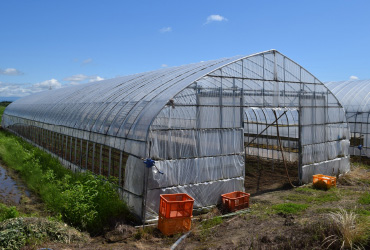 ビニールハウス