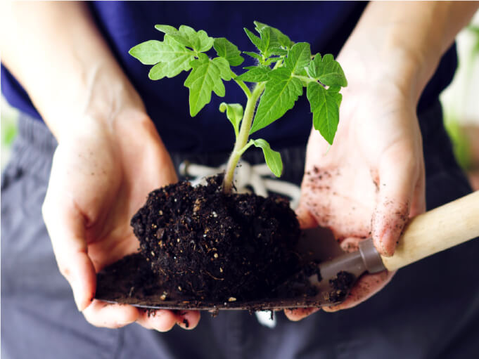 良質な土づくり