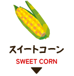 スイートコーン