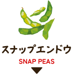 スナップエンドウ