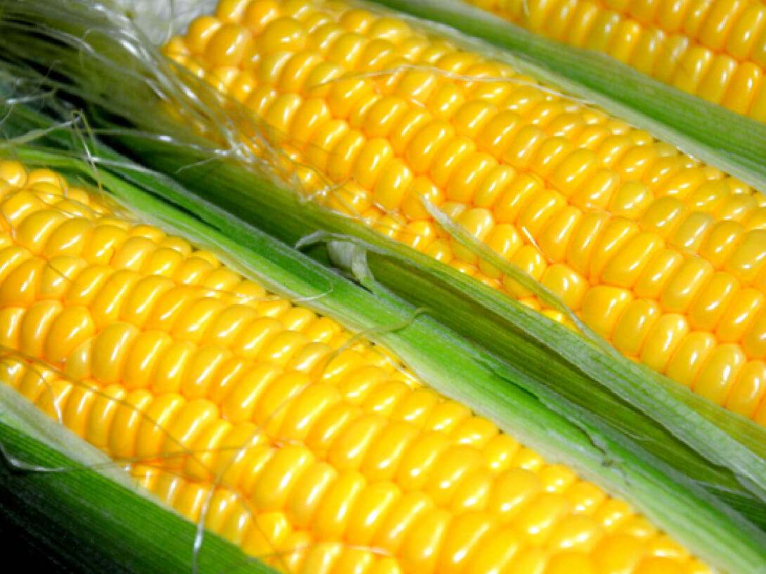 スイートコーン