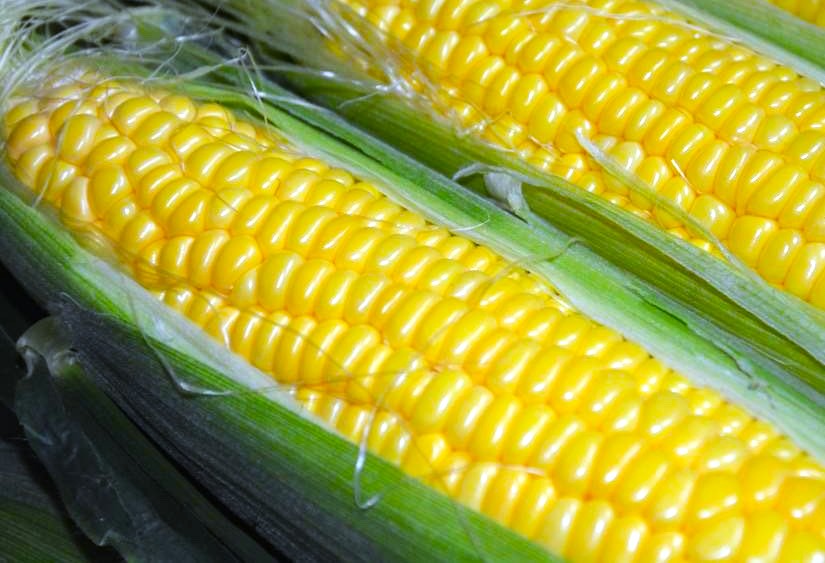 スイートコーン