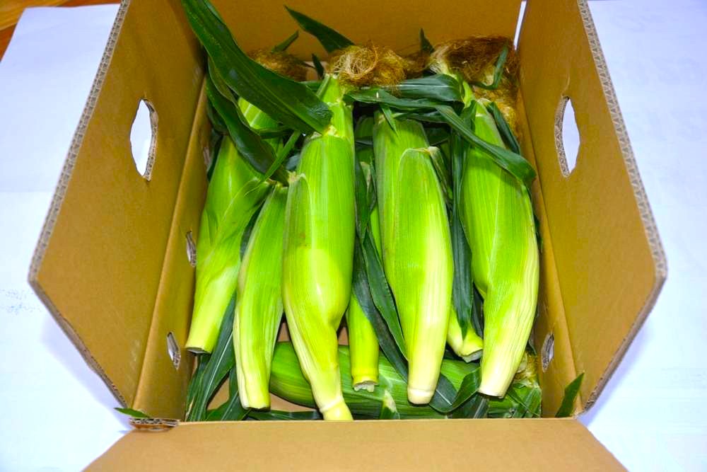 スイートコーン