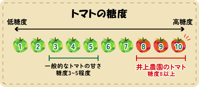 トマトの糖度、井上農園のトマトは糖度８以上